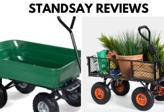 Standsay Reviews