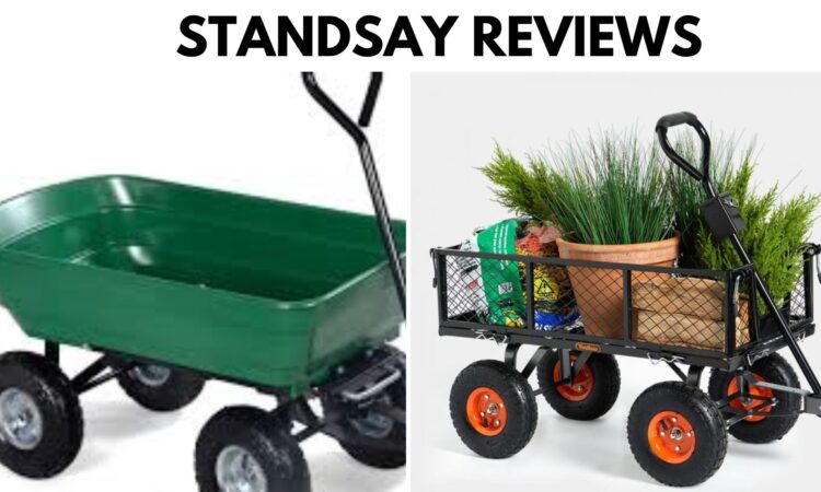 Standsay Reviews