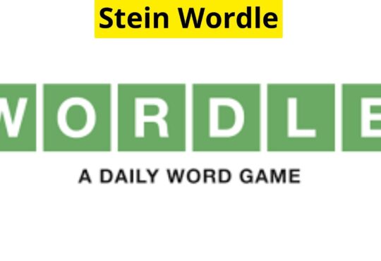 Stein Wordle