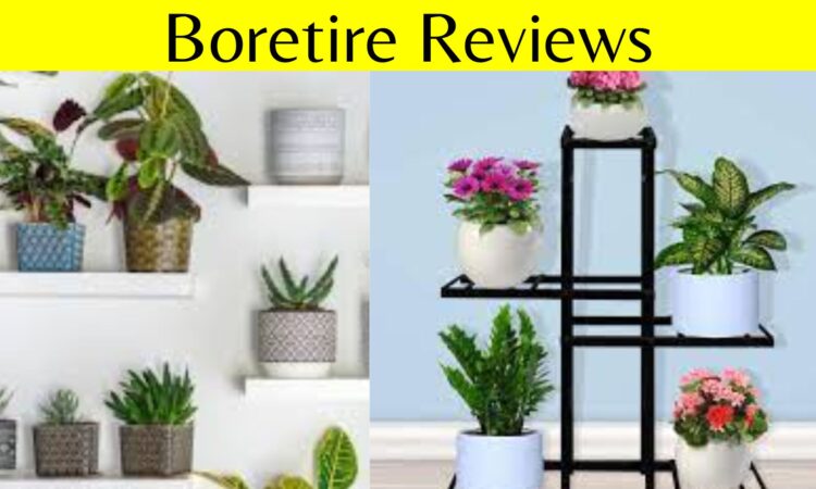 Boretire Reviews