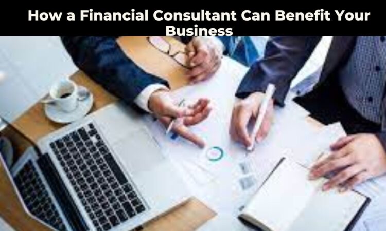How a Financial Consultant Can Benefit Your Business