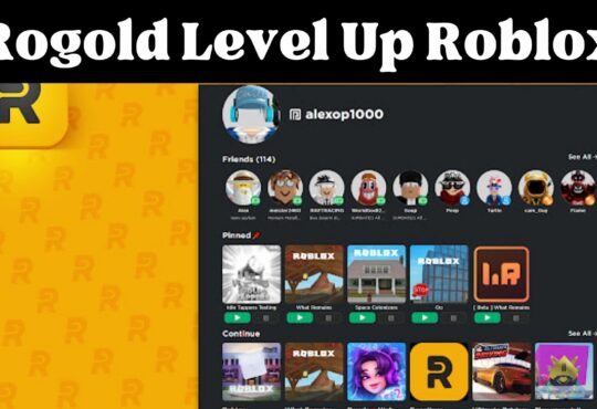 Rogold Level Up Roblox