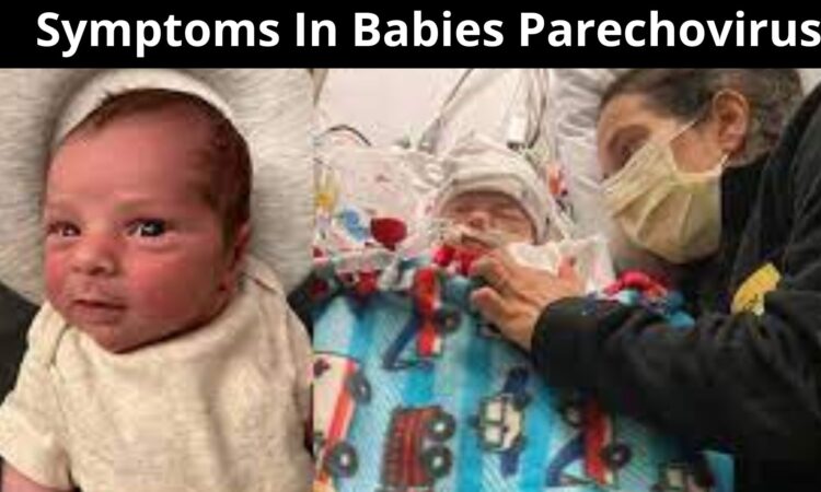 Symptoms In Babies Parechovirus