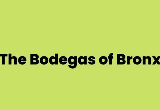 The Bodegas of Bronx