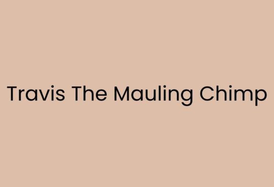 Travis The Mauling Chimp