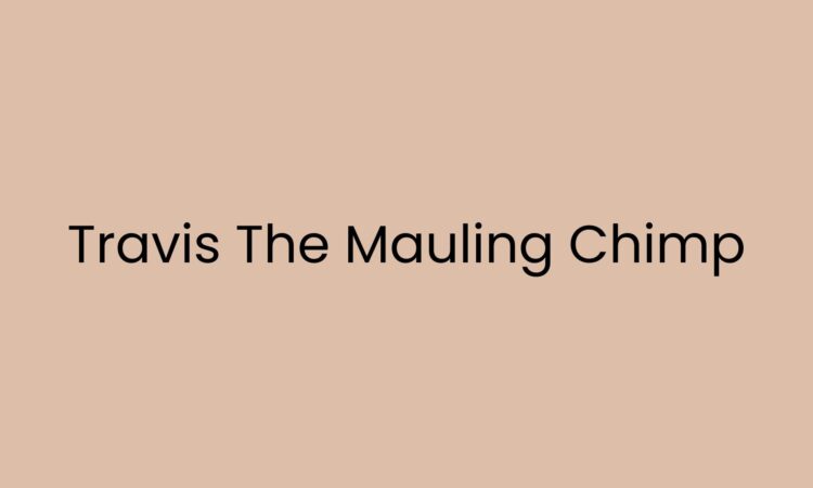 Travis The Mauling Chimp