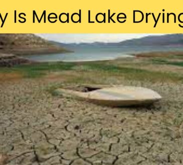 Why Is Mead Lake Drying Up