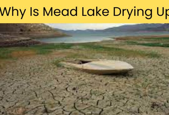 Why Is Mead Lake Drying Up