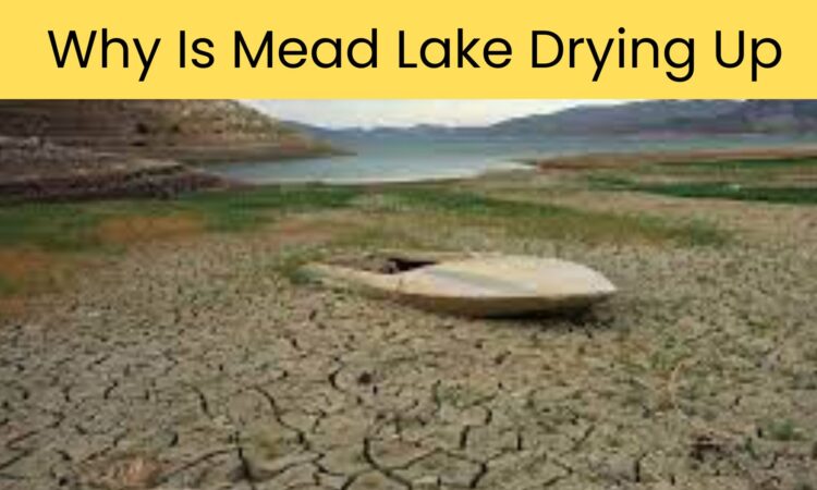 Why Is Mead Lake Drying Up