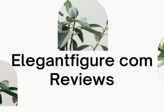 Elegantfigure com Reviews