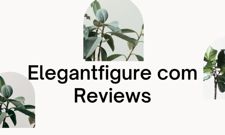 Elegantfigure com Reviews