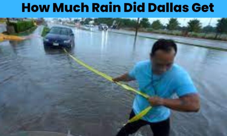 How Much Rain Did Dallas Get