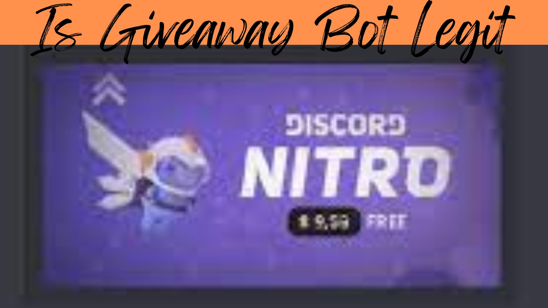 is-giveaway-bot-legit-aug-know-the-location-details