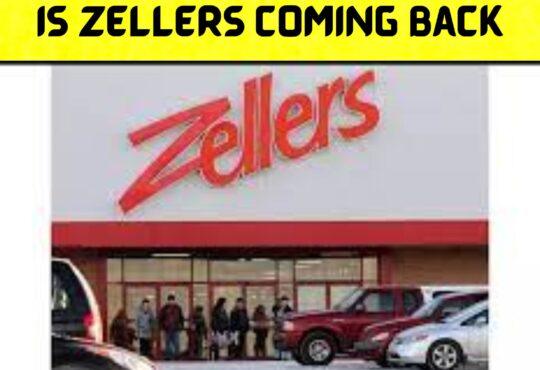 Is Zellers Coming Back