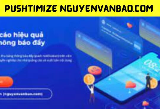 Pushtimize Nguyenvanbao.com