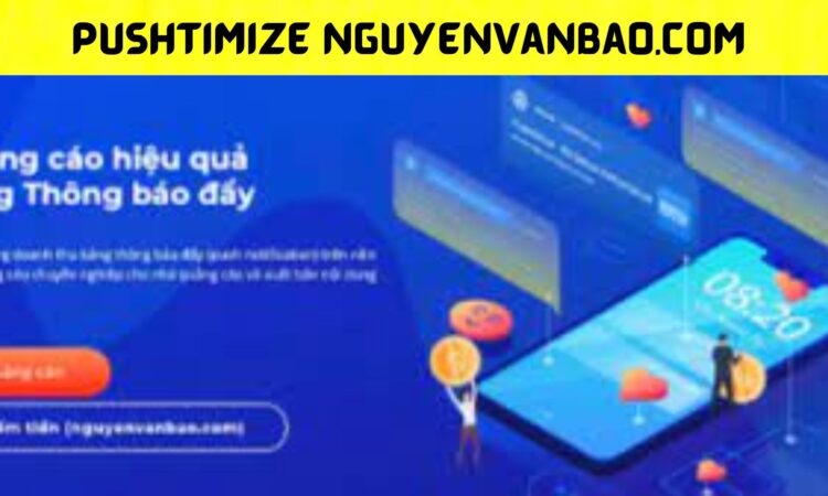 Pushtimize Nguyenvanbao.com