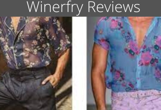 Winerfry Reviews