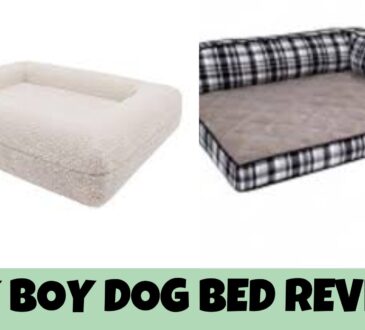 Lazy Boy Dog Bed Reviews