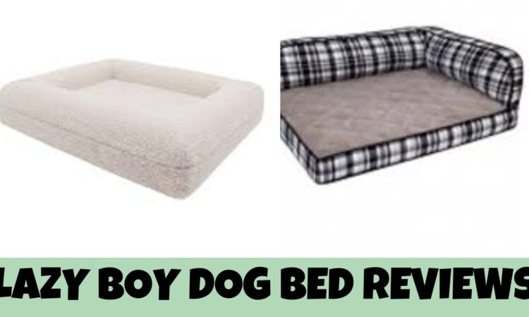 Lazy Boy Dog Bed Reviews