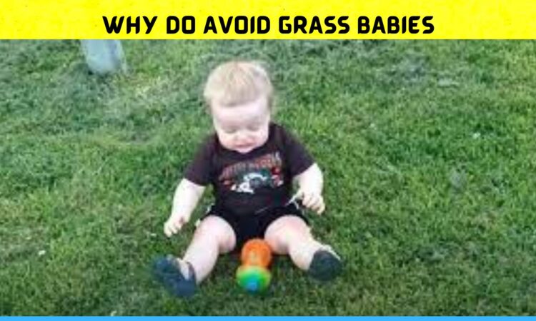 Why Do Avoid Grass Babies
