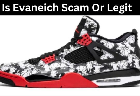 Is Evaneich Scam Or Legit