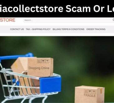 Is Liacollectstore Scam Or Legit