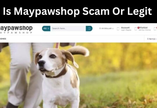 Is Maypawshop Scam Or Legit