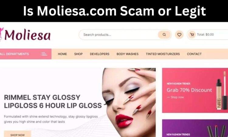 Is Moliesa.com Scam or Legit