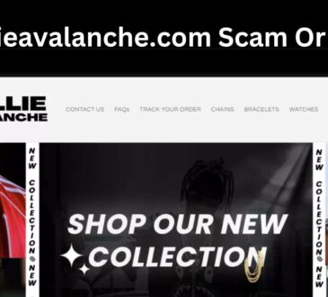 Is Rollieavalanche.com Scam Or Legit