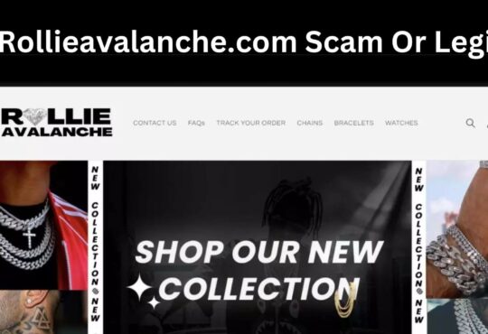 Is Rollieavalanche.com Scam Or Legit