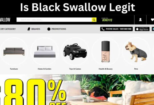 Is Black Swallow Legit