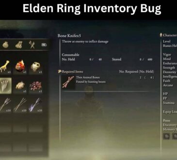 Elden Ring Inventory Bug