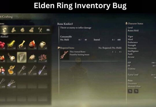 Elden Ring Inventory Bug