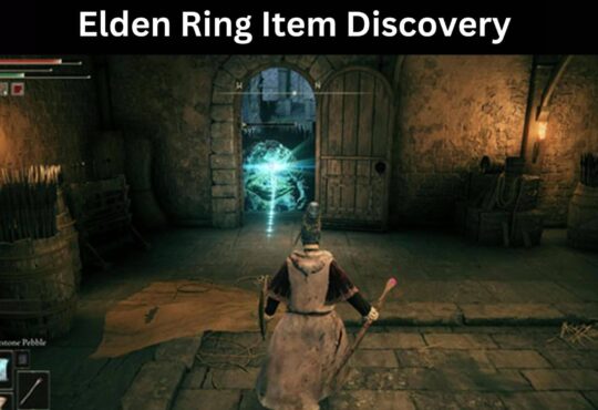 Elden Ring Item Discovery