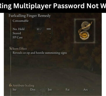 Elden Ring Multiplayer Password Not Working