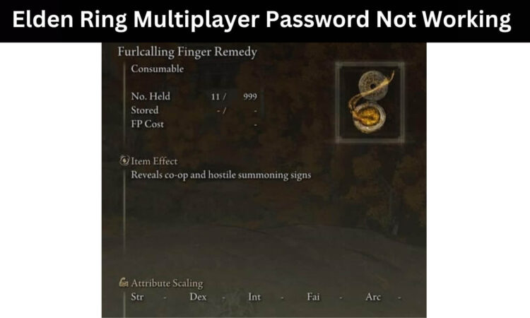 Elden Ring Multiplayer Password Not Working