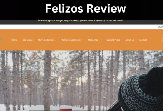 Felizos Review