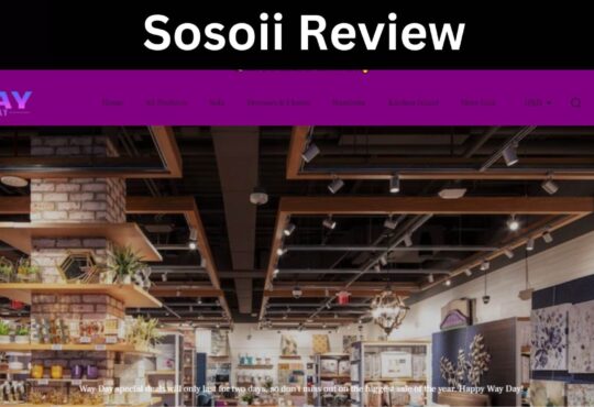 Sosoii Review