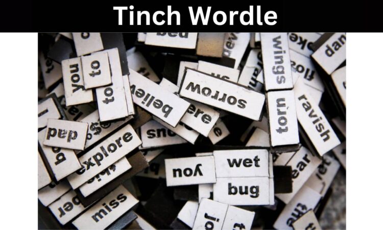 Tinch Wordle