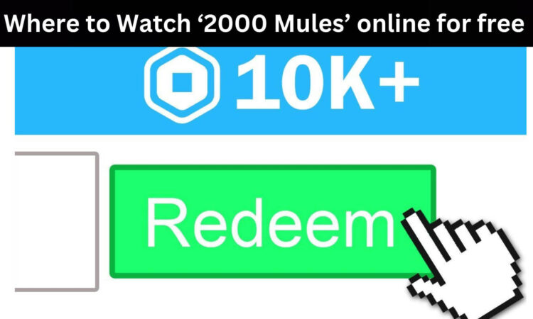 Where to Watch ‘2000 Mules’ online for free