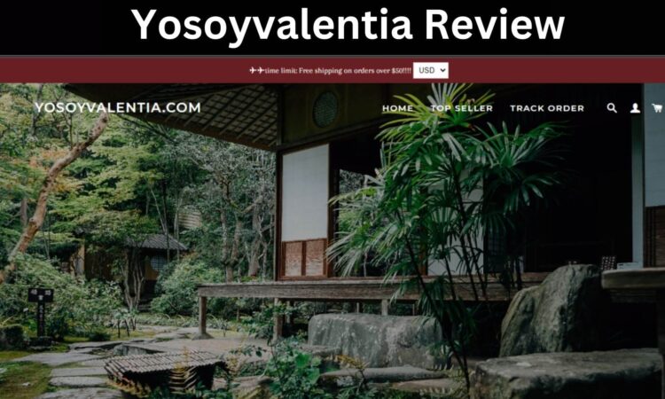 Yosoyvalentia Review