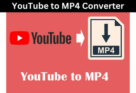 YouTube to MP4 Converter