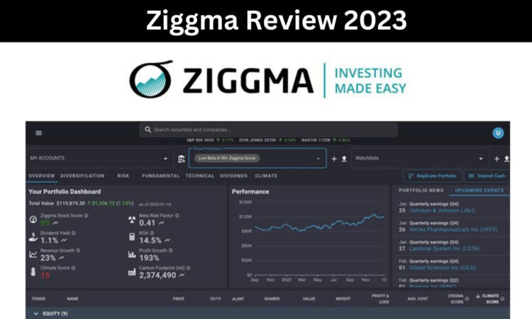 Ziggma Review 2023